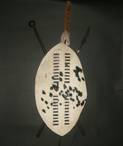 African Zulu Shield Spear and Club Knob-Kerrie Vintage Isihlangu