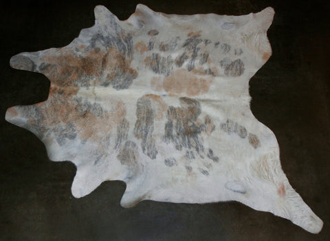 African Nguni Cowhide Skin Carpet - South Africa
