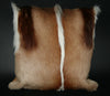 Springbok Authentic Fur Pillow South Africa. - Cultures International From Africa To Your Home